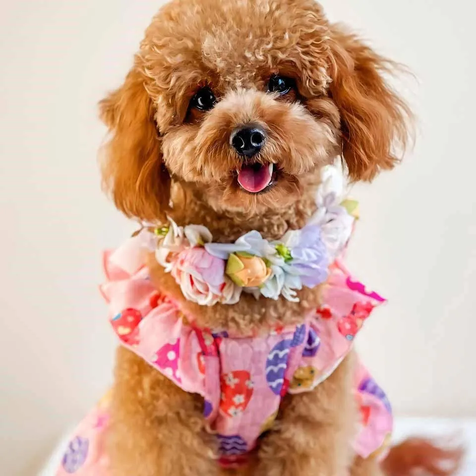 cute easter egg dress