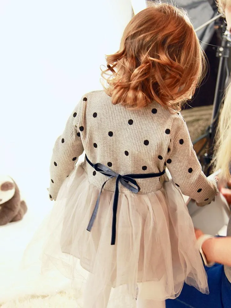 Girls Silver Grey Polka Dot Party Tutu Dress