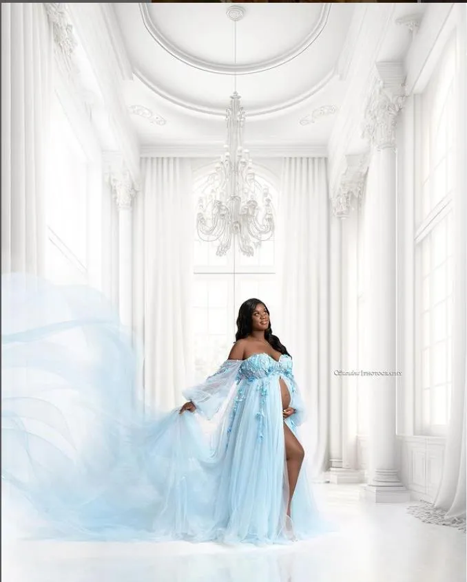 Gorgeous Long Sleeve Tulle Lace Flower Maternity Photoshoot Dresses Photo Shoots Dress for Wedding Guest YW221109