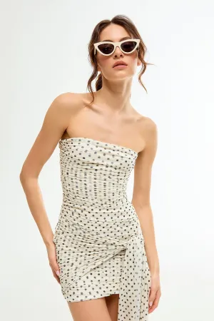 LIBBY Polka Dot Patterned Tulle Mini Dress