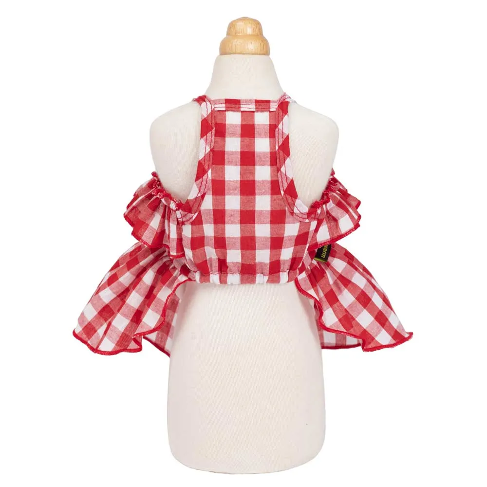 red picnic plaid dress