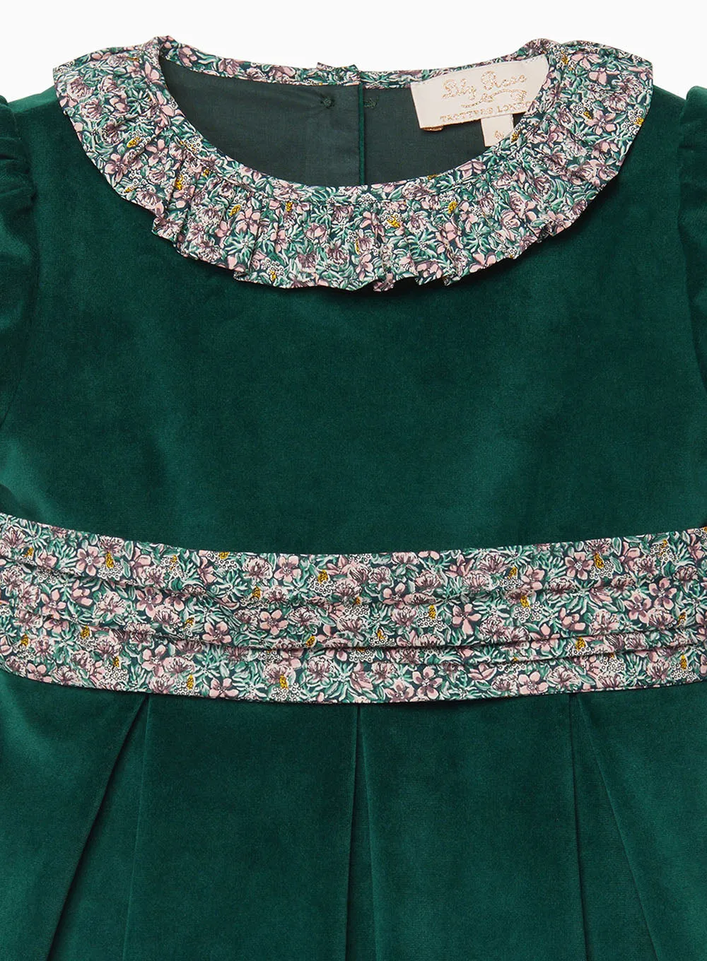 Robin Velvet Party Dress