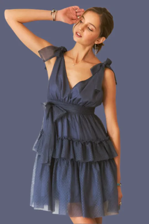Tie Shoulder Polka Dot Mesh Dress